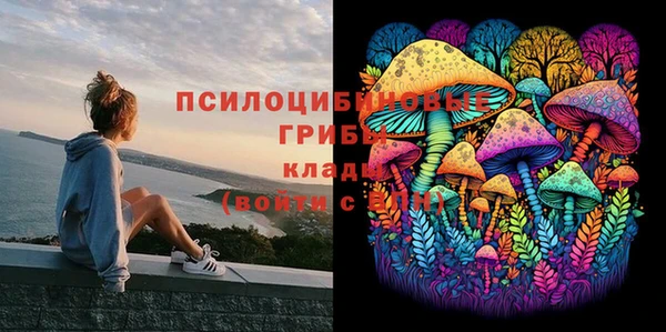 а пвп мука Аркадак