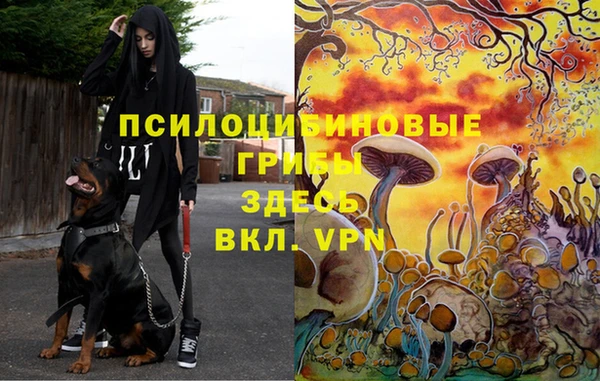 а пвп мука Аркадак