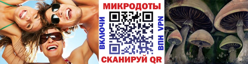 shop как зайти  Палласовка  Псилоцибиновые грибы Psilocybine cubensis  как найти закладки 